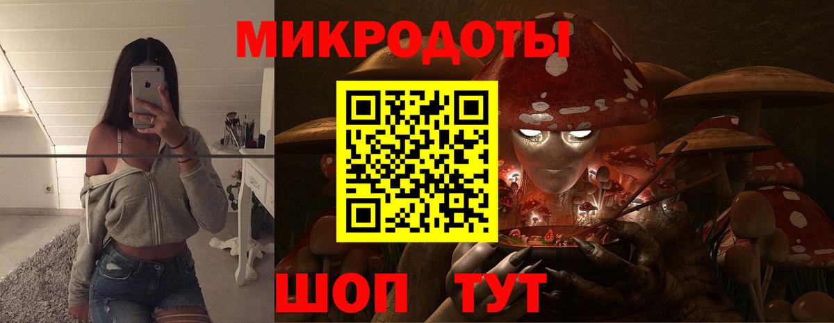 Галлюциногенные грибы прущие грибы Лабинск